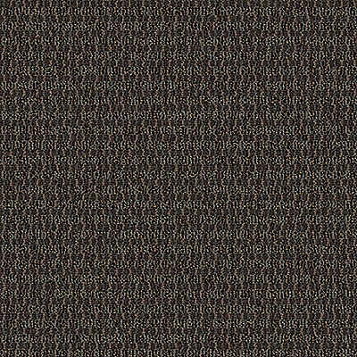 Aladdin Implore Carpet Tile QA128-883 Adjure 24" x 24" (96 SF/Box)