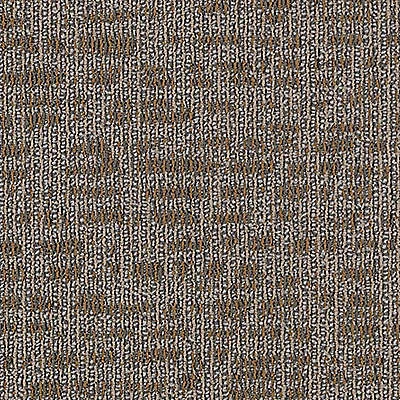 Aladdin Refined Look Carpet Tile 2B55-858 Awesome Amazing 24" x 24" (96 SF/Box)