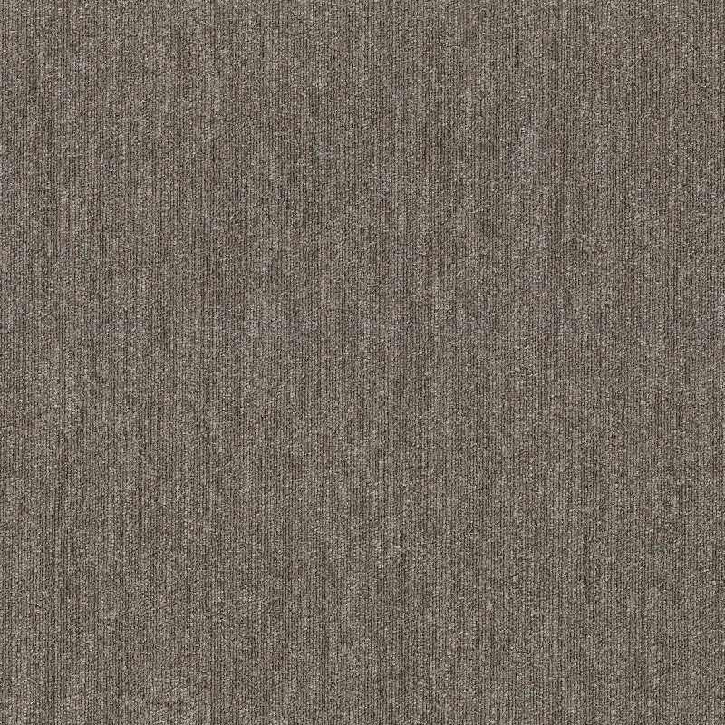 Shaw Beyond Limits 5th & Main 54936-00720 Tract 24" X 24" Carpet Tile (80 SF/Box)