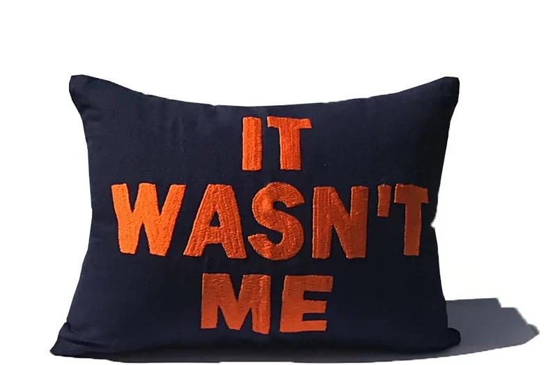 It Wasn't Me Pillow Cover