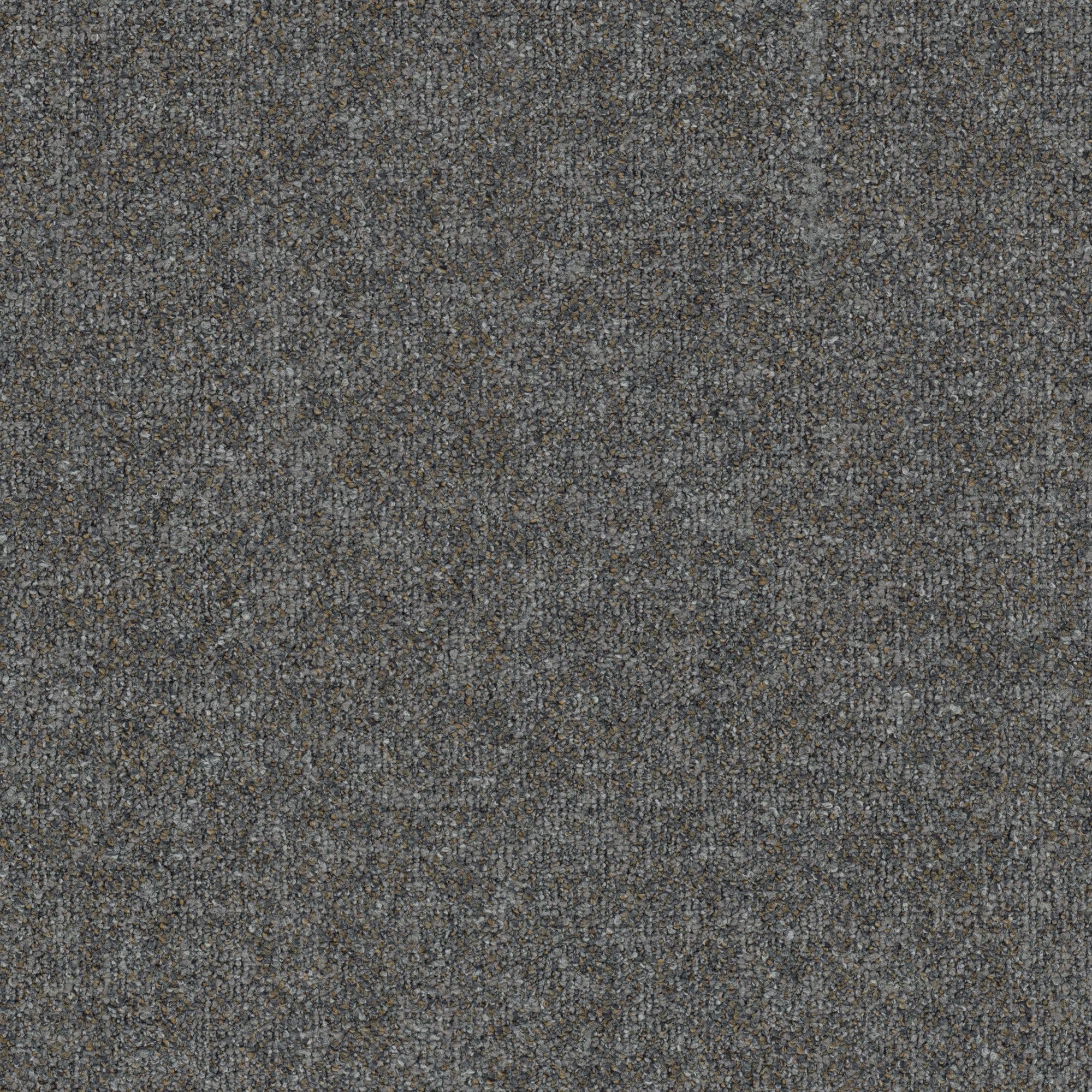 Mohawk - Substratum - Base Layer - 24 in. x 24 in. - Commercial Carpet Tile - Seedbed